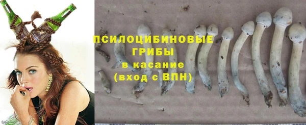 прущие грибы Пролетарск