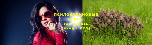 прущие грибы Пролетарск