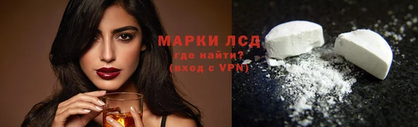 прущие грибы Пролетарск