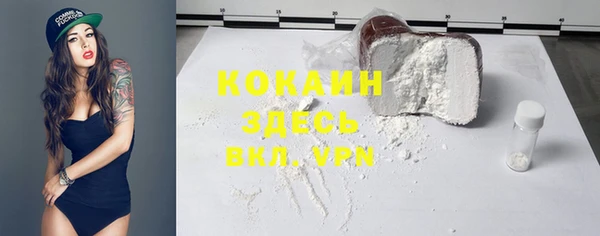 прущие грибы Пролетарск
