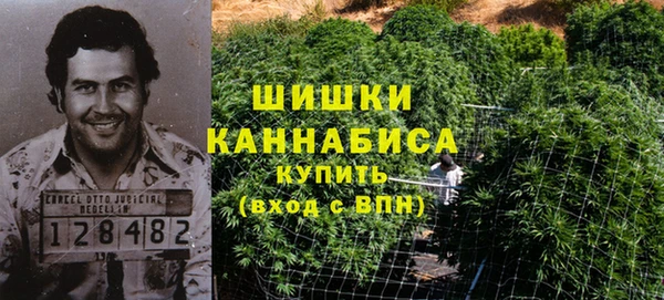 прущие грибы Пролетарск