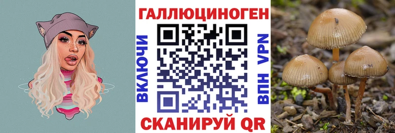 KRAKEN ССЫЛКА  Хабаровск  маркетплейс телеграм  Галлюциногенные грибы мицелий 