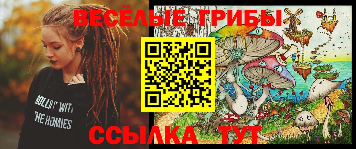 Хабаровск  Псилоцибиновые грибы мицелий  Вход с VPN 